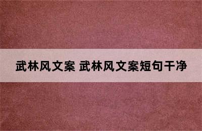 武林风文案 武林风文案短句干净